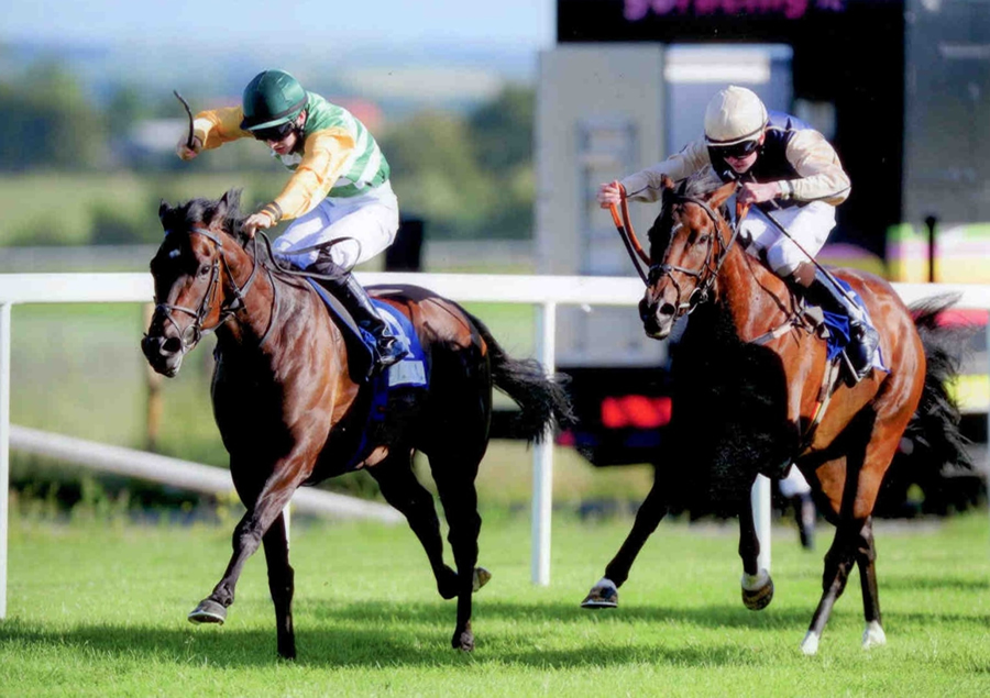 ANGELA'S DREAM - Winning at Roscommon 8th July 2013